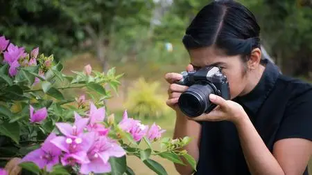 Photography Masterclass for Beginners