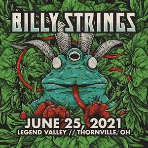 Billy Strings - 2021-06-25 - Thornville, OH (2021) [Official Digital Download 24/48]