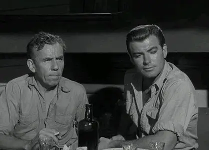 Revenge of the Creature (1955)