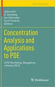 Concentration Analysis and Applications to PDE: ICTS Workshop, Bangalore, January 2012