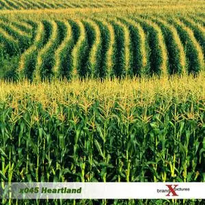 Brand X Vol. 045 Heartland