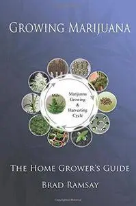 Growing Marijuana: The Home Grower’s Guide