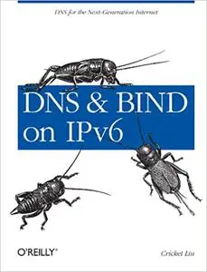 DNS and BIND on IPv6: DNS for the Next-Generation Internet