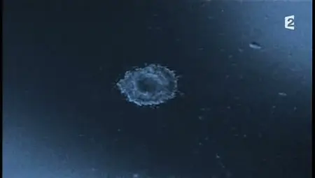 (Fr2) Les bébés de l'amour et de la science (2012)
