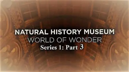 CH.5 - Natural History Museum World of Wonder: Series 1 Part 3 (2021)