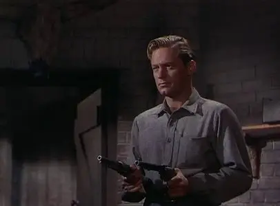 The Man from Colorado/La peine du talion (1948)
