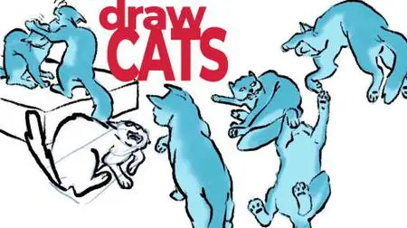 Have Fun Drawing Cats: Combine structure and knowledge with a loose, casual style.