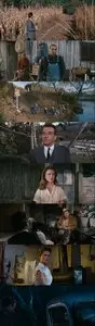 Wild River (1960)
