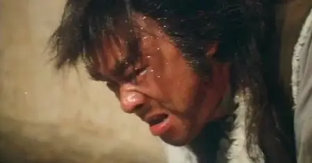 Drunken Tai Chi (1984)