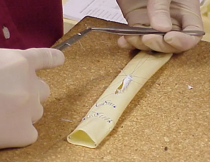 Basic Surgical Skills Course 4th Edition