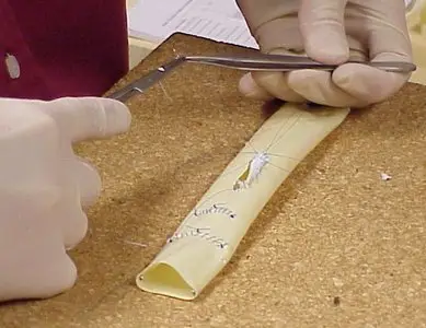 Basic Surgical Skills Course 4th Edition