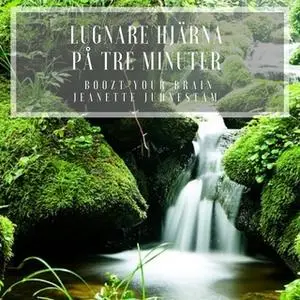 «Lugnare hjärna på 3 minuter» by Jeanette Juhnestam