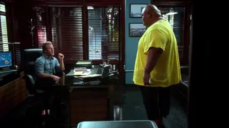 Hawaii Five-0 S02E20