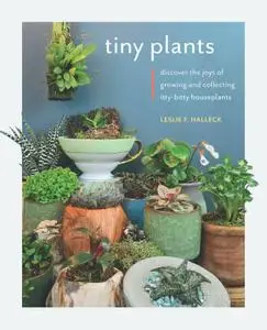 Tiny Plants: Discover the joys of growing and collecting itty-bitty houseplants