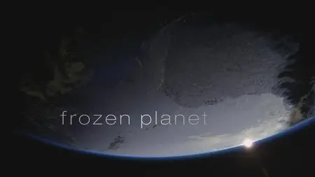 BBC: Frozen planet [7 series + Bonus] / BBC: Замерзшая планета (Застывшая планета) [7 серий + бонус] (2011) [Repost]