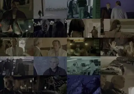 The Limey (1999)