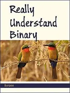 Really Understand Binary
