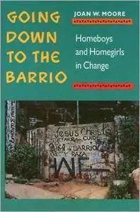 Going Down to the Barrio: Homeboys and Homegirls in Change