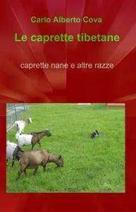 Le caprette tibetane