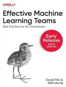 Effective Machine Learning Teams