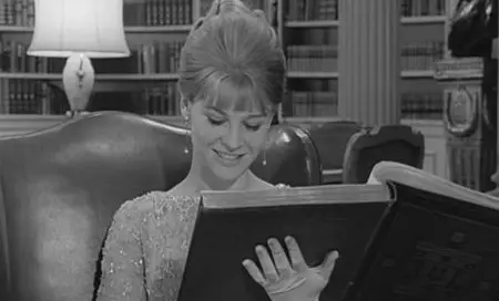 Darling (1965) 