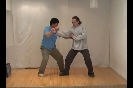 Yin Style Baguazhang Lion System Applications