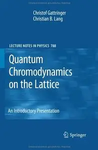 Quantum Chromodynamics on the Lattice: An Introductory Presentation