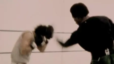 40 Years of Rocky The Birth of a Classic 2020