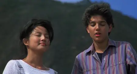 The Karate Kid 2 (1986)