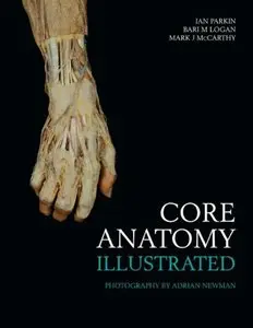Core Anatomy - Illustrated (Repost)