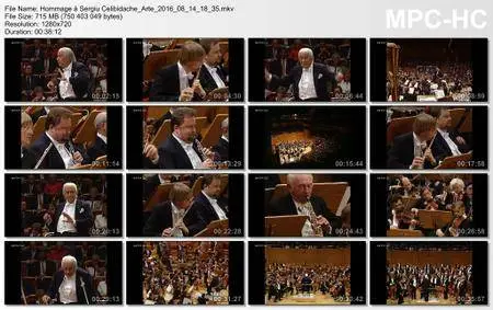 (Arte) Hommage à Sergiu Celibidache (2016)