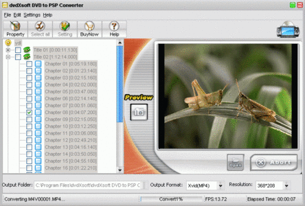 DvdXsoft DVD to PSP Converter 1.42