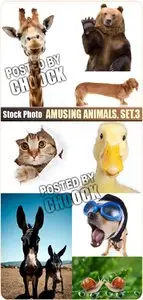 Amusing animals. Set.3 - Stock Photo