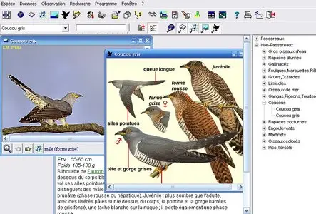 Les Oiseaux d'Europe - 2eme Version (1998)