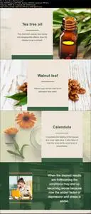 A Beginner's Guide to Herbal Medicine