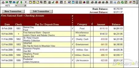Checkbook For Excel v5.3