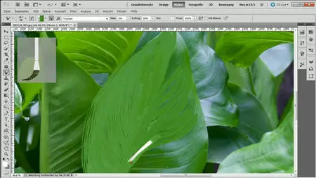 Galileo Design Adobe Photoshop CS5 für Fortgeschrittene