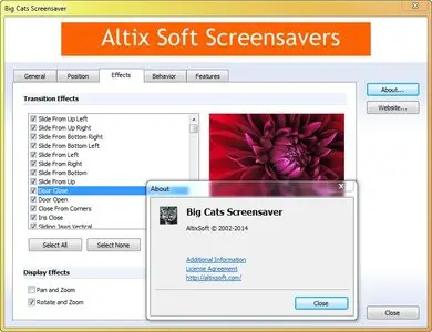 Big Cats Screensaver 5.0