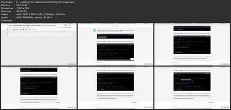 Hands-On Exploratory Data Analysis In Python + Chatgpt 3.5