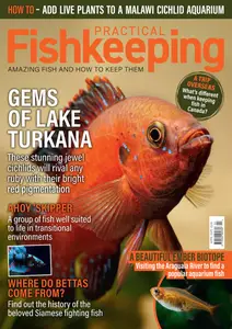 Practical Fishkeeping - April 2025