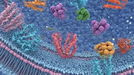 Applied Bioinformatics - Basics To Network Biology