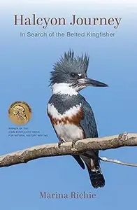 Halcyon Journey: In Search of the Belted Kingfisher