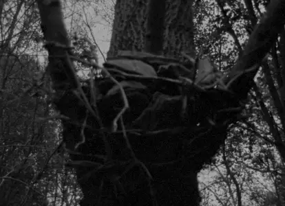 The Blair Witch Project (1999)