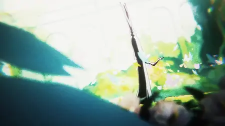 One Piece S01E1089 Entering a New Chapter Luffy and Sabos Paths
