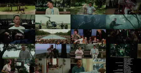 Forrest Gump (1994) [MultiSubs] + Commentary