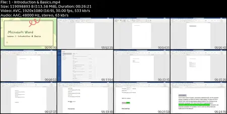 Complete Microsoft Office Word Excel PowerPoint Google Sheet