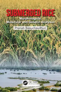 Submerged Rice: Morphological, Molecular and Genetic Analyses