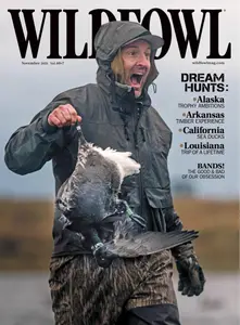 Wildfowl - November 2025