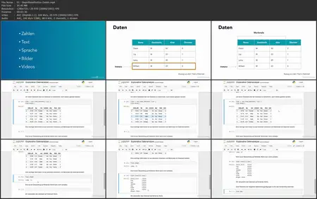 Explorative Datenanalyse lernen