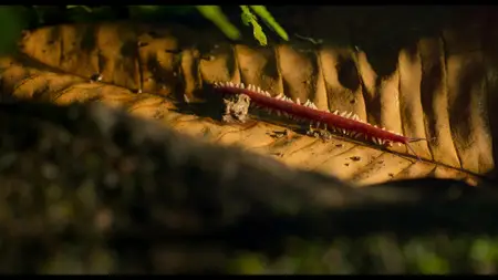 Underdogs S01E01